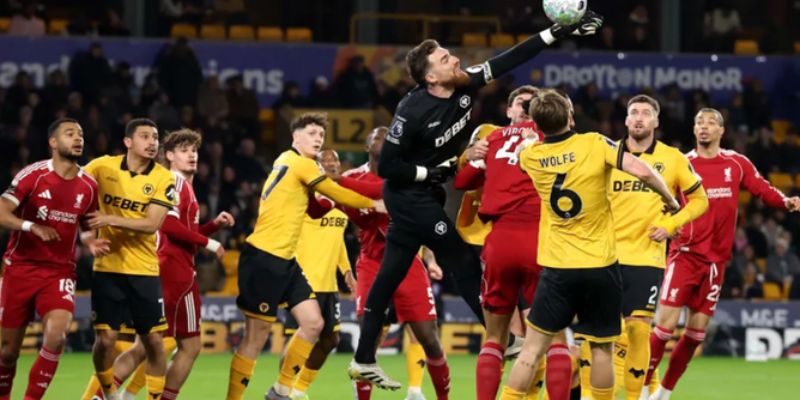 Tìm hiểu về bongdalu